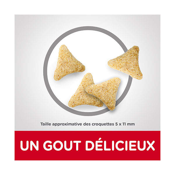 Hill's Science Plan Feline Adult Hairball Indoor Poulet