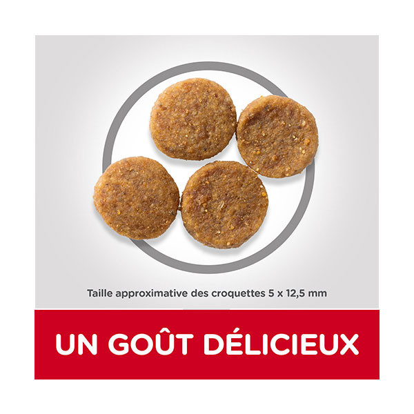 Hill's Science Plan Canine Adult Perfect Weight Medium - 12 kg