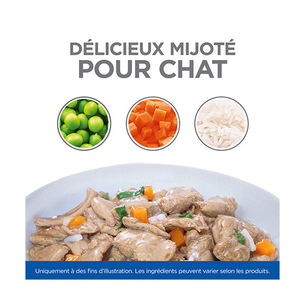 Hill's Science Plan Kitten Pack Mixte Poulet Poisson - 12 x 85 g