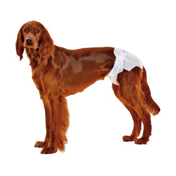 Couches-Culottes Jetables pour Chien