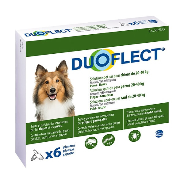Duoflect Chien 20-40 kg