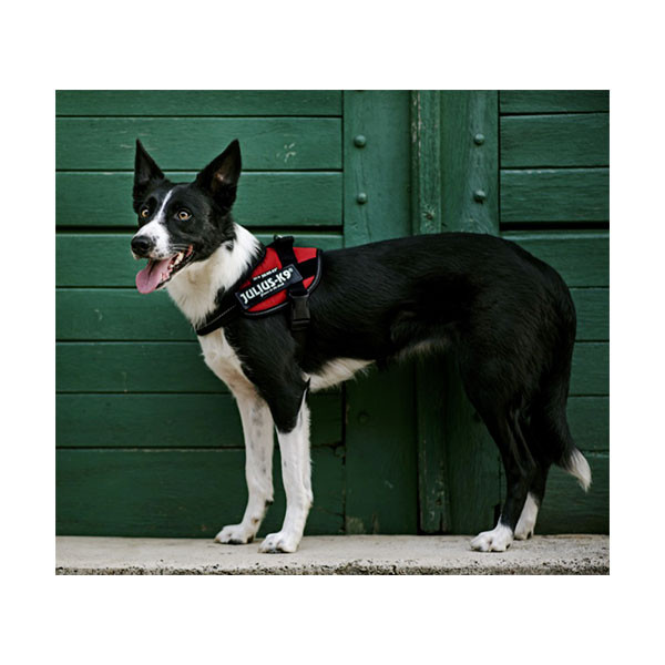 Harnais IDC Power Julius K9 Rouge