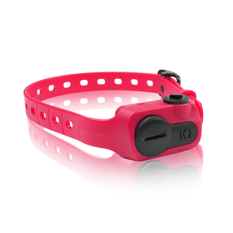 Dogtra iQ No Bark Rose - Collier Anti-Aboiement (S)
