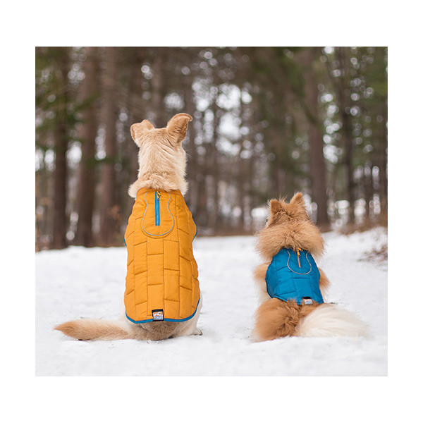 Kurgo Gilet de Confort Bleu/Orange