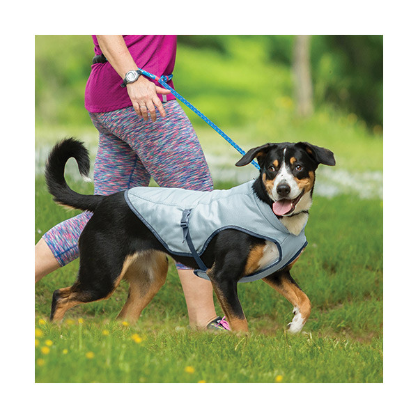 Kurgo Gilet Rafraichissant