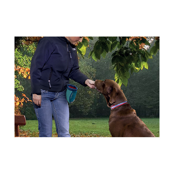 Kurgo Sac pour Friandises