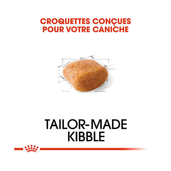 Royal Canin Caniche Adulte