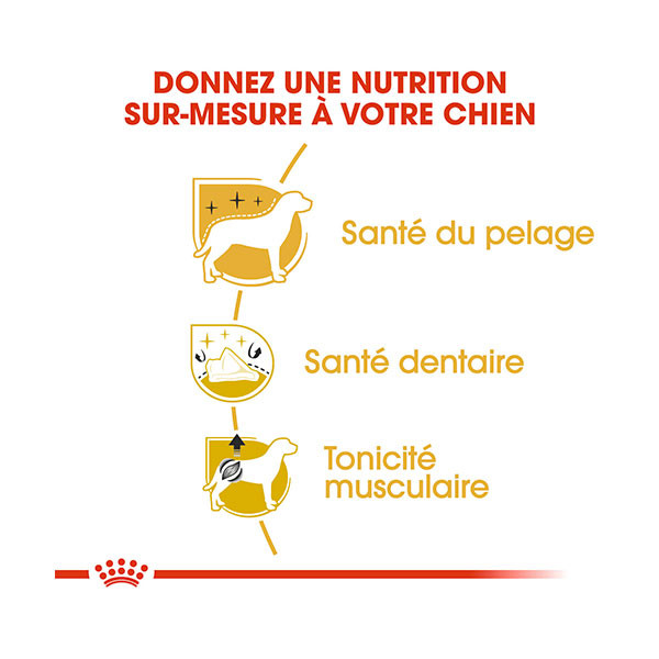 Royal Canin Caniche Adulte