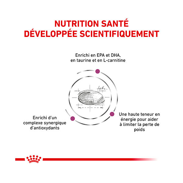 Royal Canin Vdiet Dog Cardiac