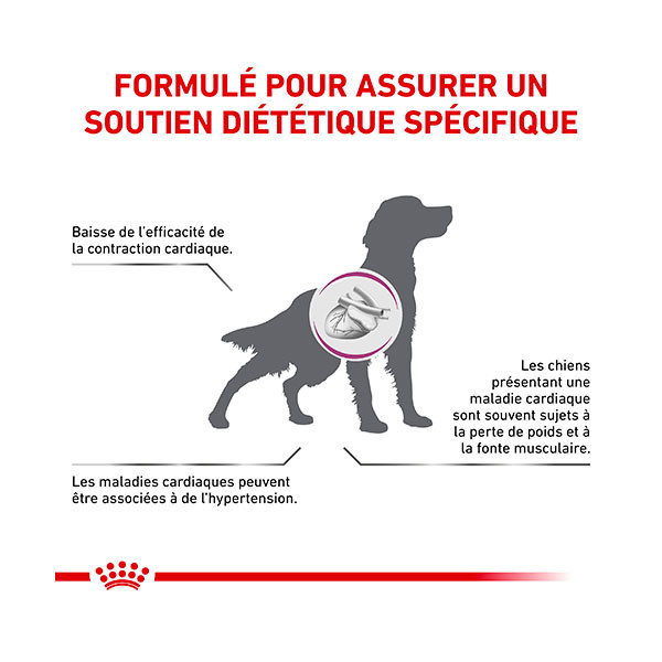 Royal Canin Vdiet Dog Cardiac
