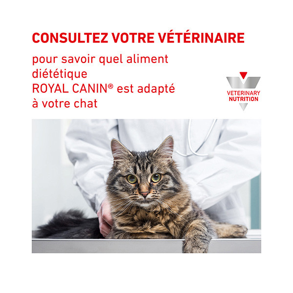 Royal Canin Vdiet Cat Urinary S/O Moderate Calorie