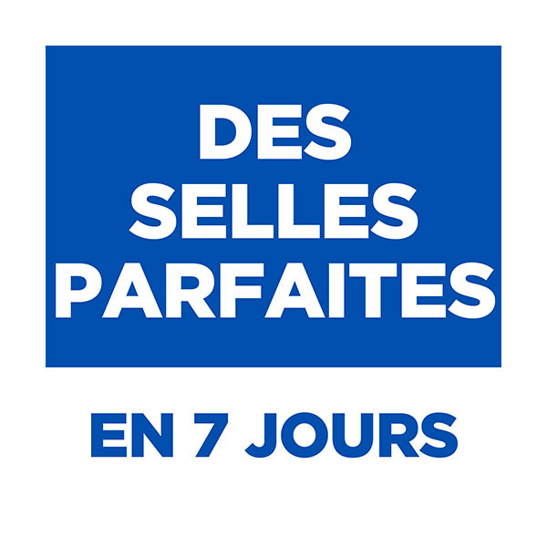 Hill's Science Plan Canine Perfect Digestion Large Breed - 14 kg