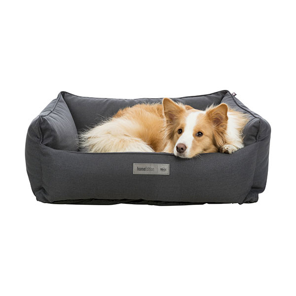 Trixie Farello Lit - Noir 60 x 50 cm