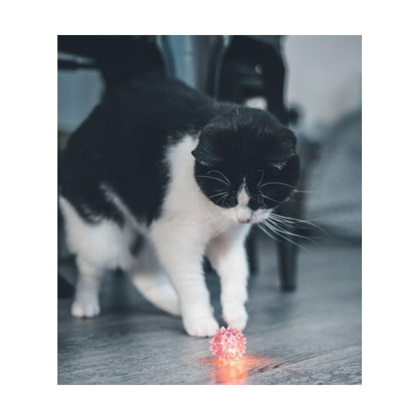 Balle Lumineuse pour Chat