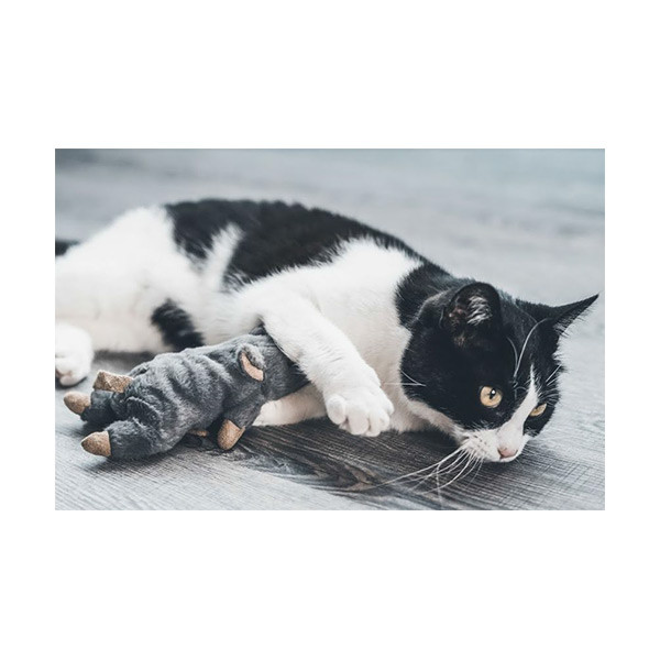Souris Géante pour Chat