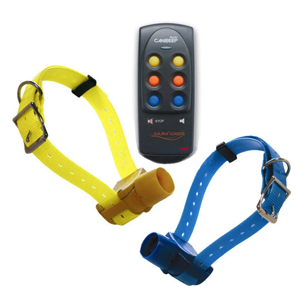 Numaxes Canibeep Radio Pro - 2 Chiens