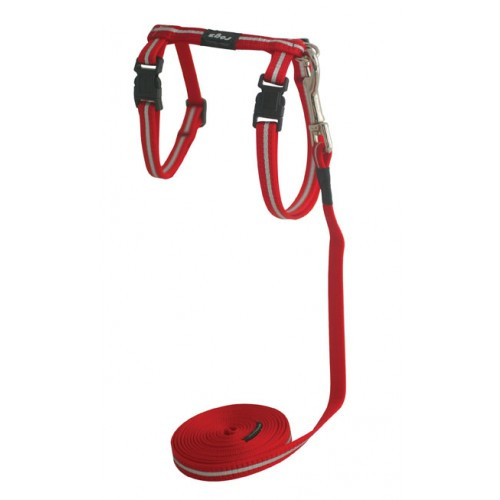 Rogz Laisse et Harnais Alleycat pour Chat - Rouge