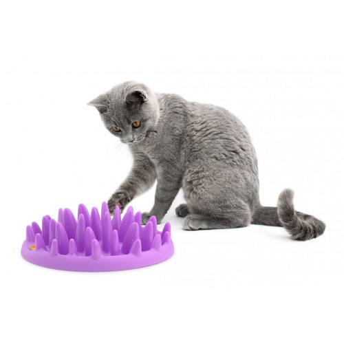 Gamelle Catch pour Chat