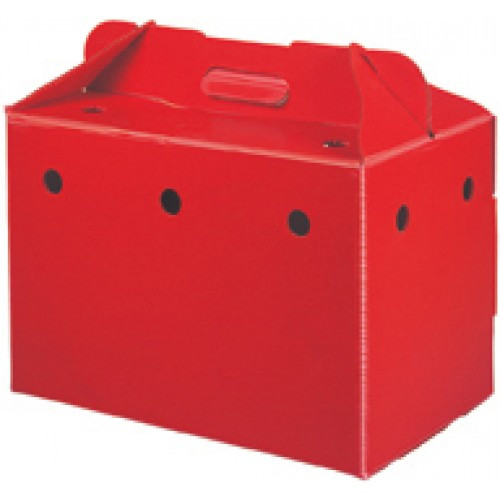 Valisette de Transport Clean