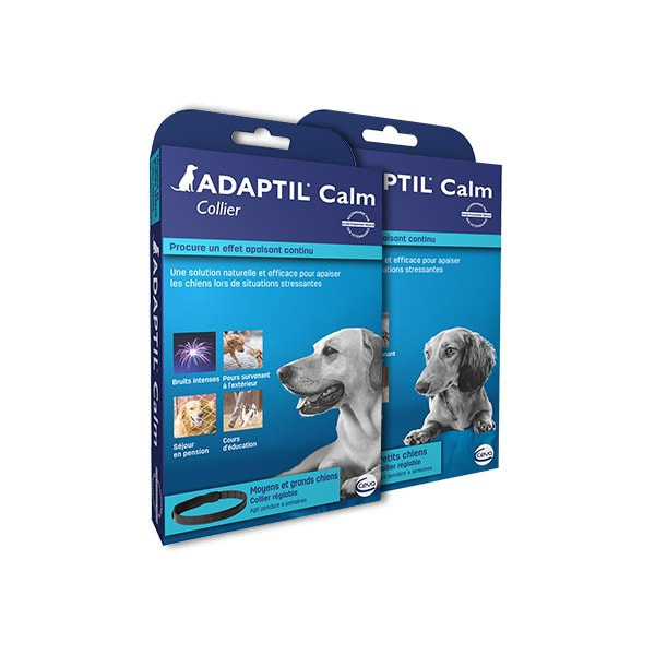 Adaptil Calm Collier pour Chien