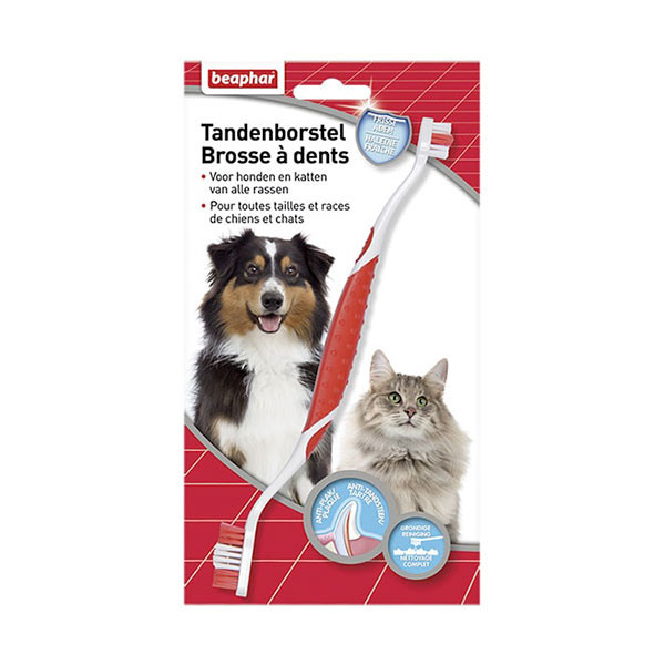 Beaphar Brosse à Dents