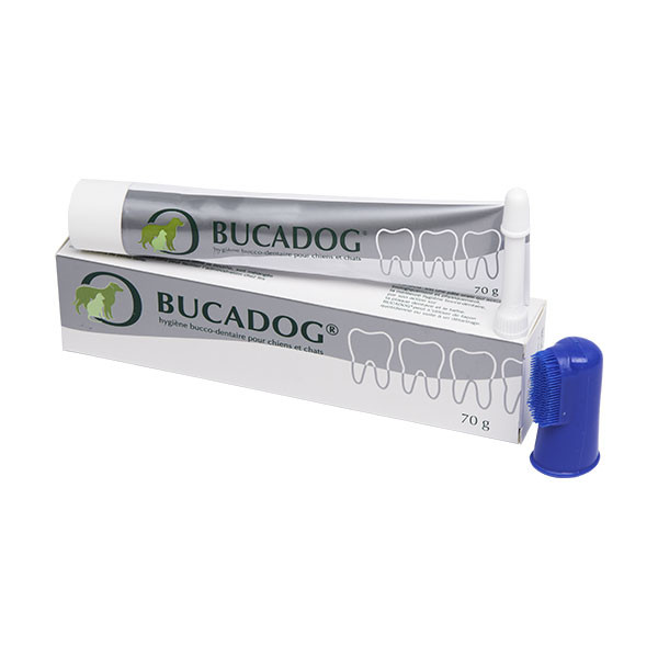 Bucadog Dentifrice