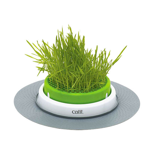 Catit Jardinière d'Herbe Senses 2.0