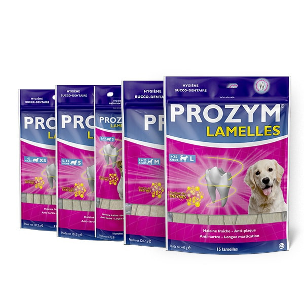 Prozym - Lamelles à Macher pour Chien