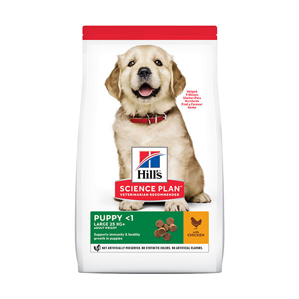 Hill's Science Plan Canine Puppy Large Breed Poulet - 16 kg