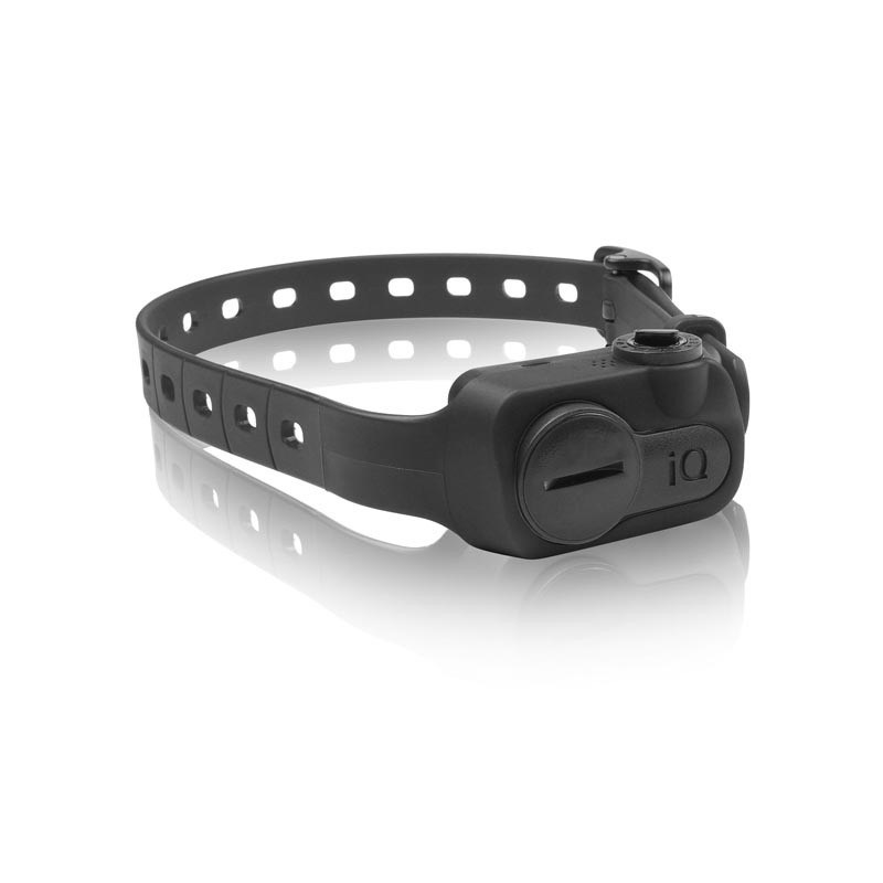 Dogtra iQ No Bark Noir - Collier Anti-Aboiement (S)