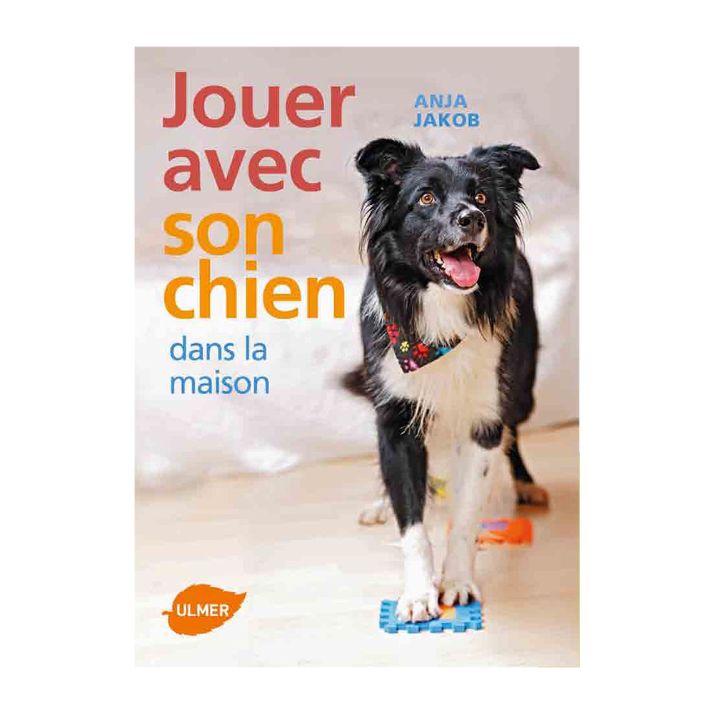 Jouer Avec Son Chien Dans la Maison