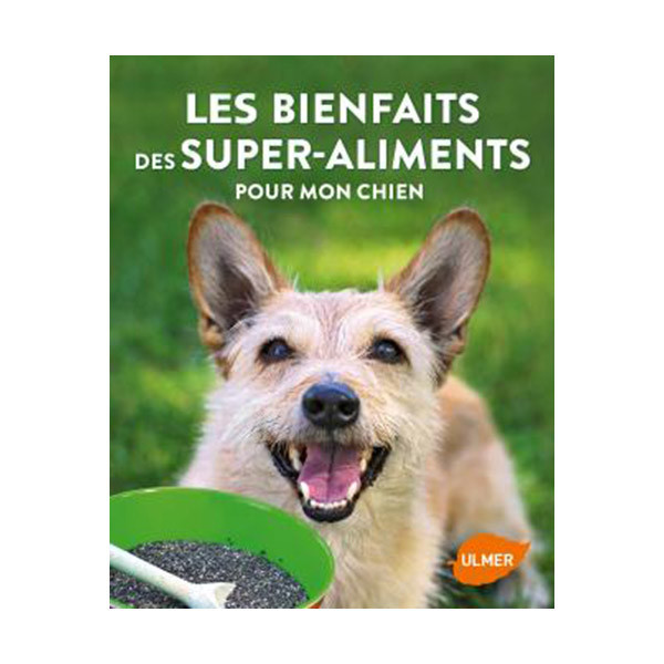 Les Bienfaits des Super-Aliments pour mon Chien