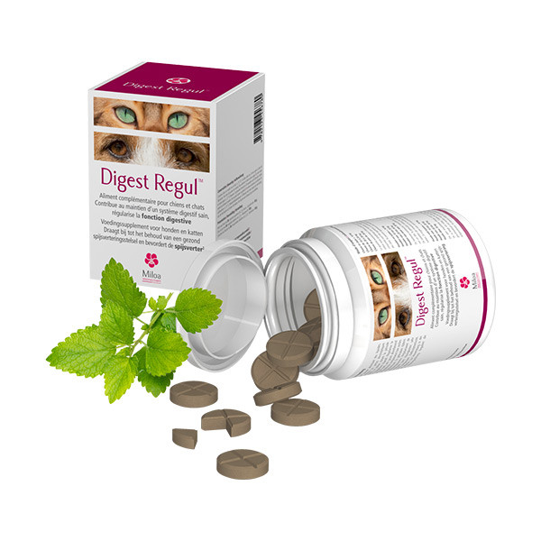 Miloa Digest Regul - 30 cps