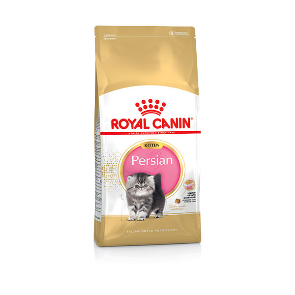 Royal Canin Persan Kitten