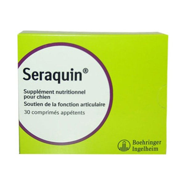 Seraquin pour Chien