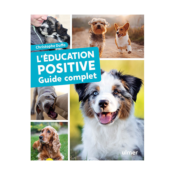 L'éducation Positive du Chien