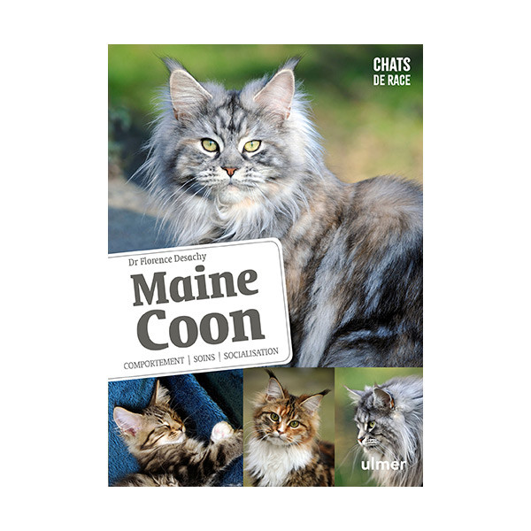 Maine Coon