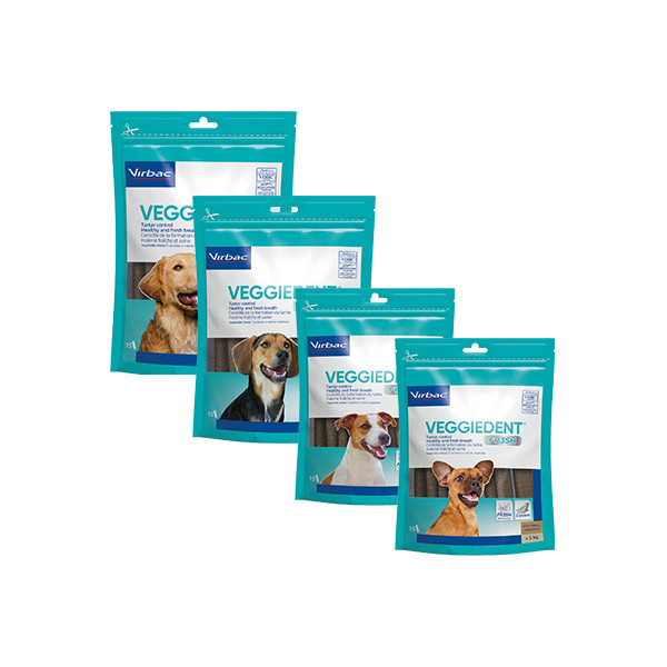 VeggieDent Fresh - 15 Lamelles