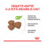 Royal Canin Mini Puppy