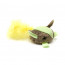 Souris Phosphorescente pour Chat