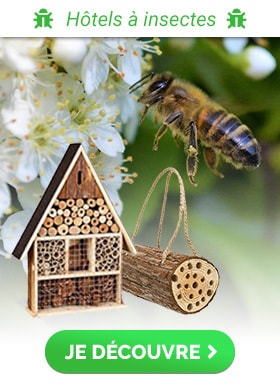 H&ocirc;tel &agrave; insectes et &agrave; abeilles