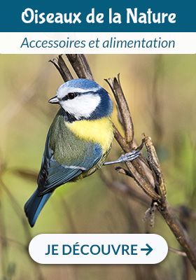 Oiseaux de la nature