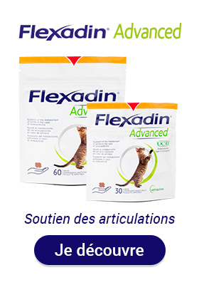 Flexadin advanced chat