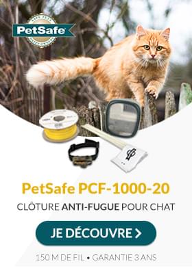 Promotion sur la Pet Cam Eyenimal de Numaxes