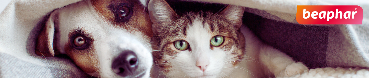 beaphar banni&egrave;re