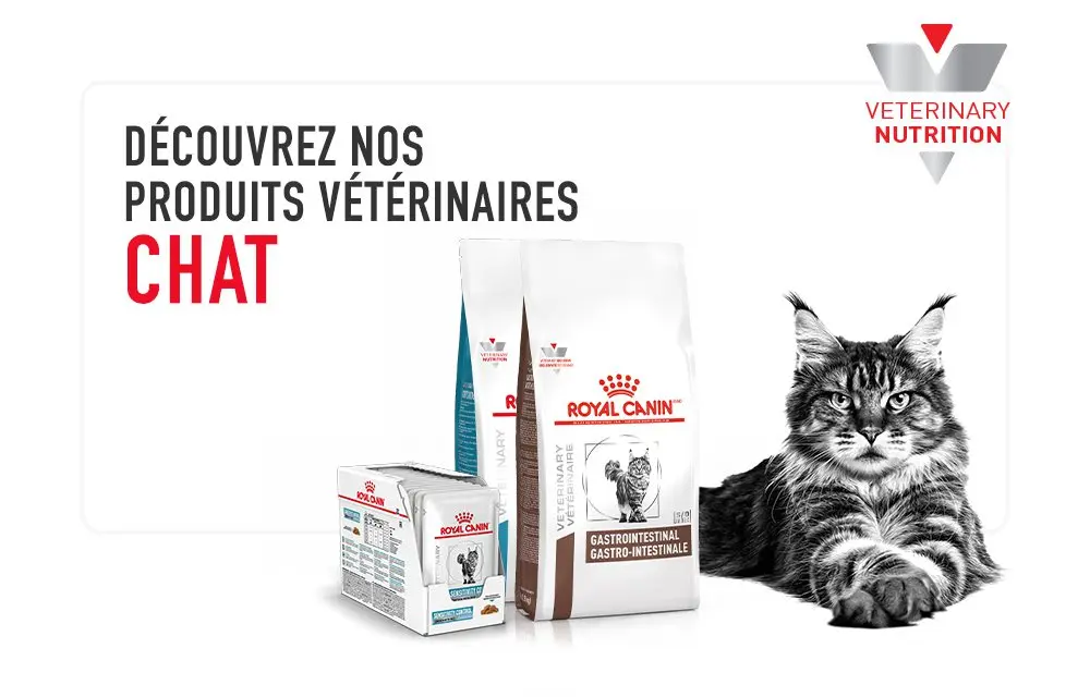 Croquettes pour chat