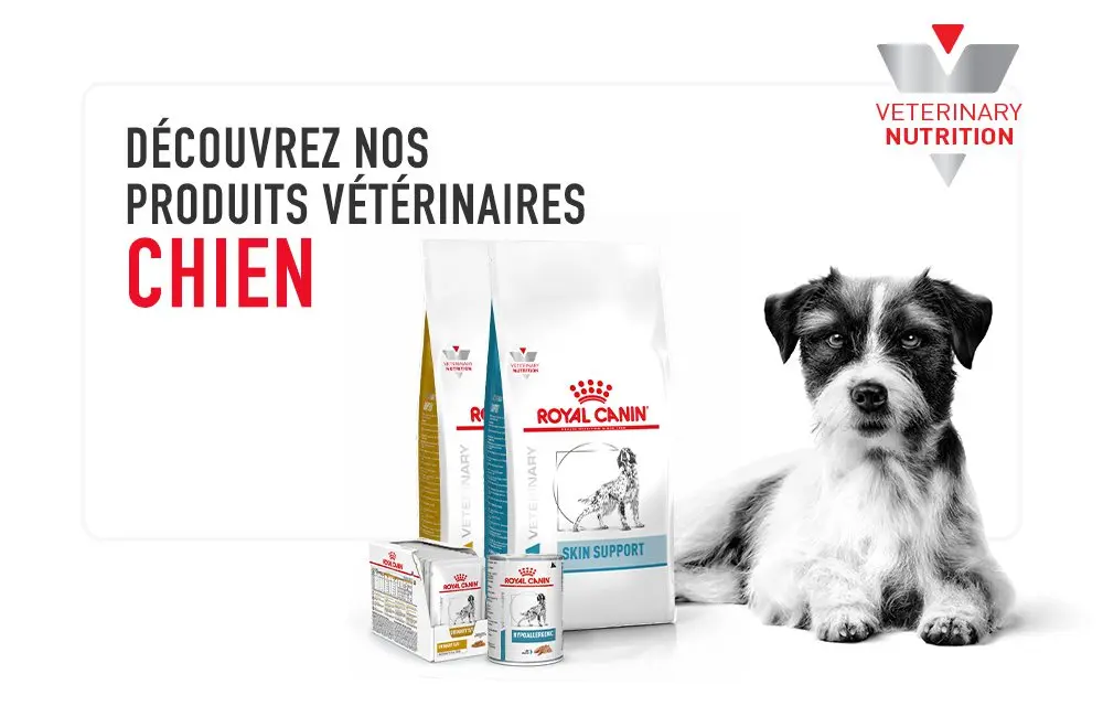 Croquettes pour chien